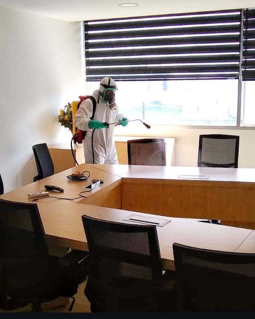 WhatsApp Image 2025-11-11 at 1.35.33 PM